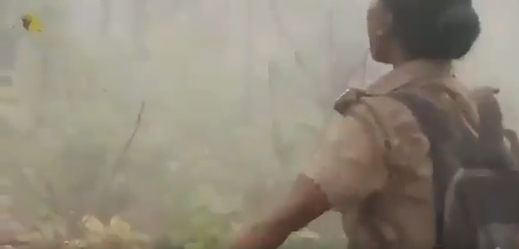 Watch Women Forest Guard Dances With A Joy As Rain Shower