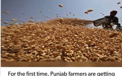 For The First Time Punjab Farmers Received Rs 202 Cr MSP Payment Via DBT In Last One Week