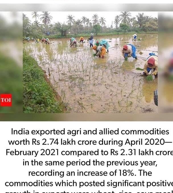 కడుపుతో పాటు ఖజానాని నింపుతున్న రైతన్న !