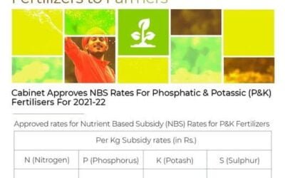 Central Cabinet Increased NPK Fertilizer Subsidies