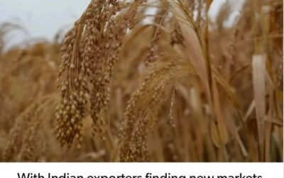 India Is Emerging As A Global Market For Millet, Becomes The World’s Fifth Largest Exporter