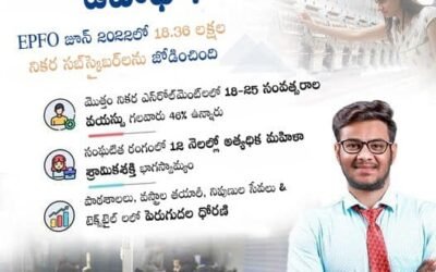 Employment on the Rise