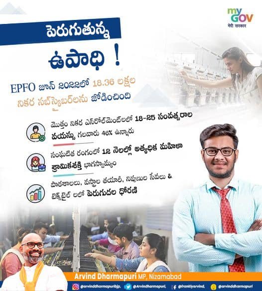 Employment on the Rise