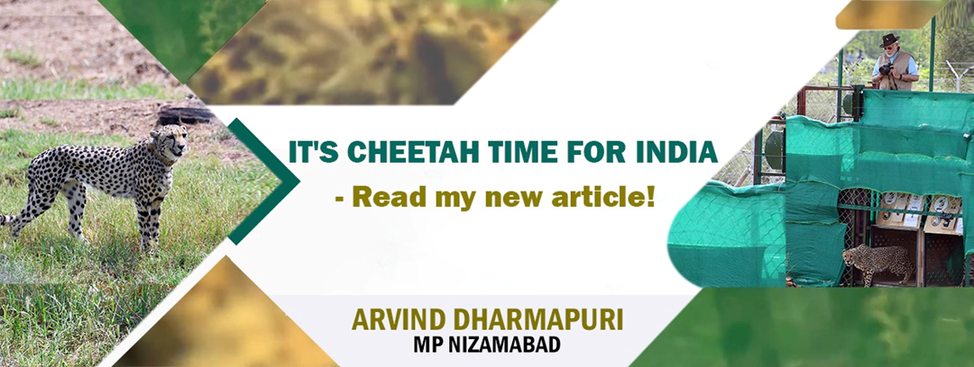 It’s Cheetah Time for India !