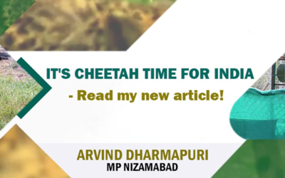 It’s Cheetah Time for India !