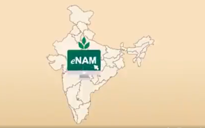 e-NAM has restructured the marketing framework for farmers