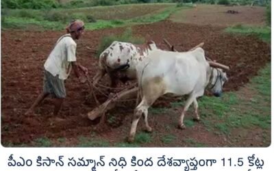 కేంద్రం తన పథకం కింద 11.5 కోట్ల మంది రైతులకు