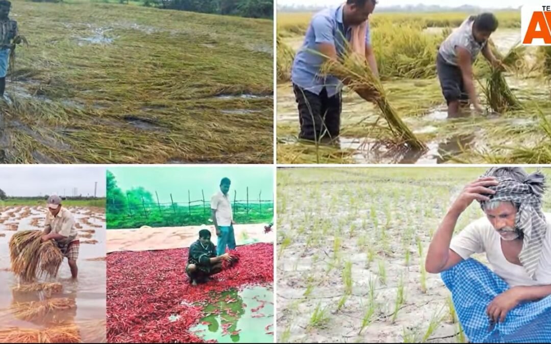 మోడీకి పేరొస్తదని భయపడకు కేసీఆర్..