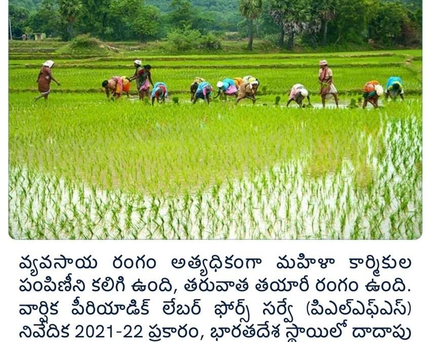 వ్యవసాయ రంగం అత్యధిక మహిళా కార్మికులను నియమించింది