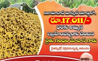 (పచ్చ) ‘బంగార’మంత పిరం !