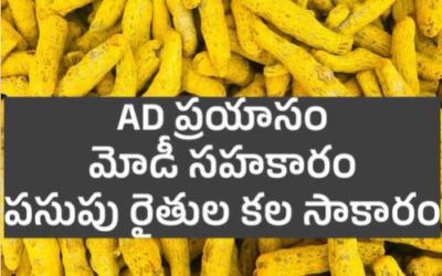 రైతు ఇంటి వద్దనే పసుపుకు పసిడి లాంటి ధరలు