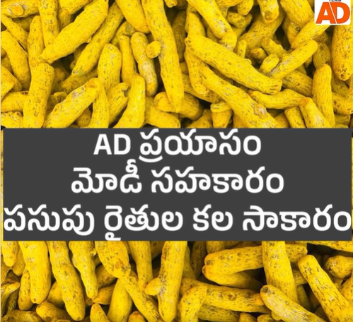 రైతు ఇంటి వద్దనే పసుపుకు పసిడి లాంటి ధరలు