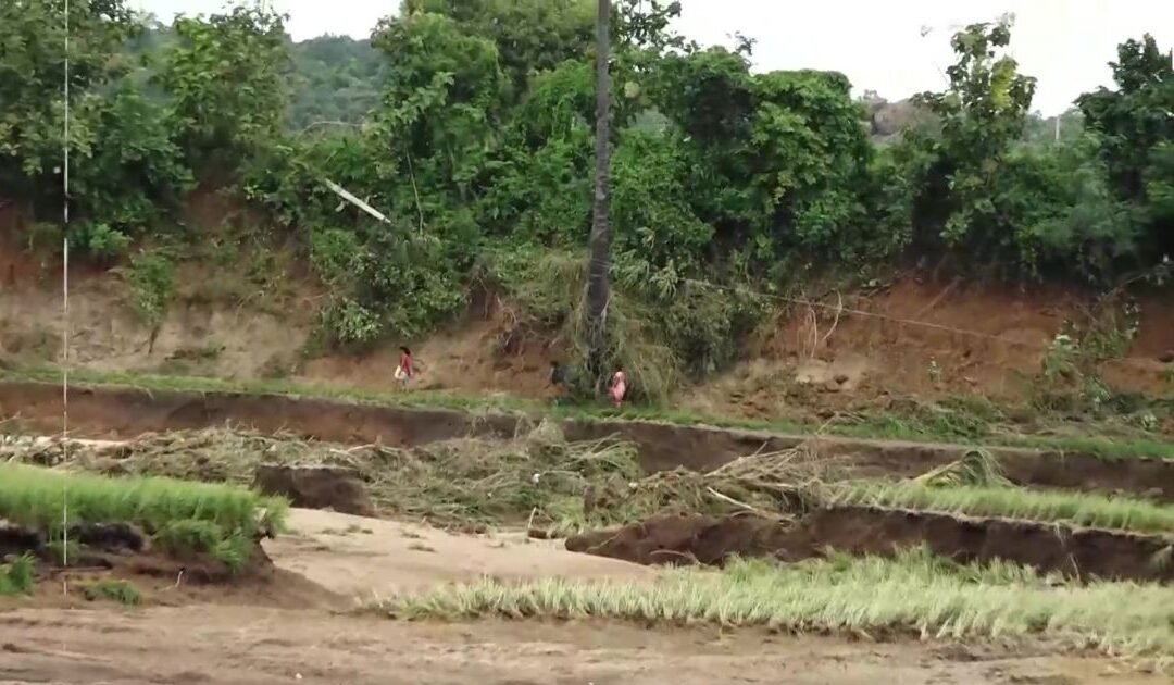 Urgent Relief Needed for Farmers After Heavy Rains