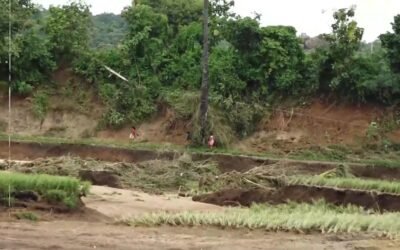 Urgent Relief Needed for Farmers After Heavy Rains